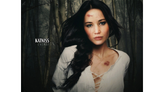 <em>Hunger Games</em> Fervor Makes For Awesome Fan Art